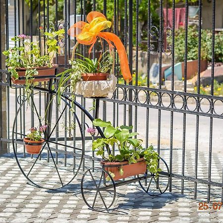 Guest House Meridi Priseltsi Ngoại thất bức ảnh